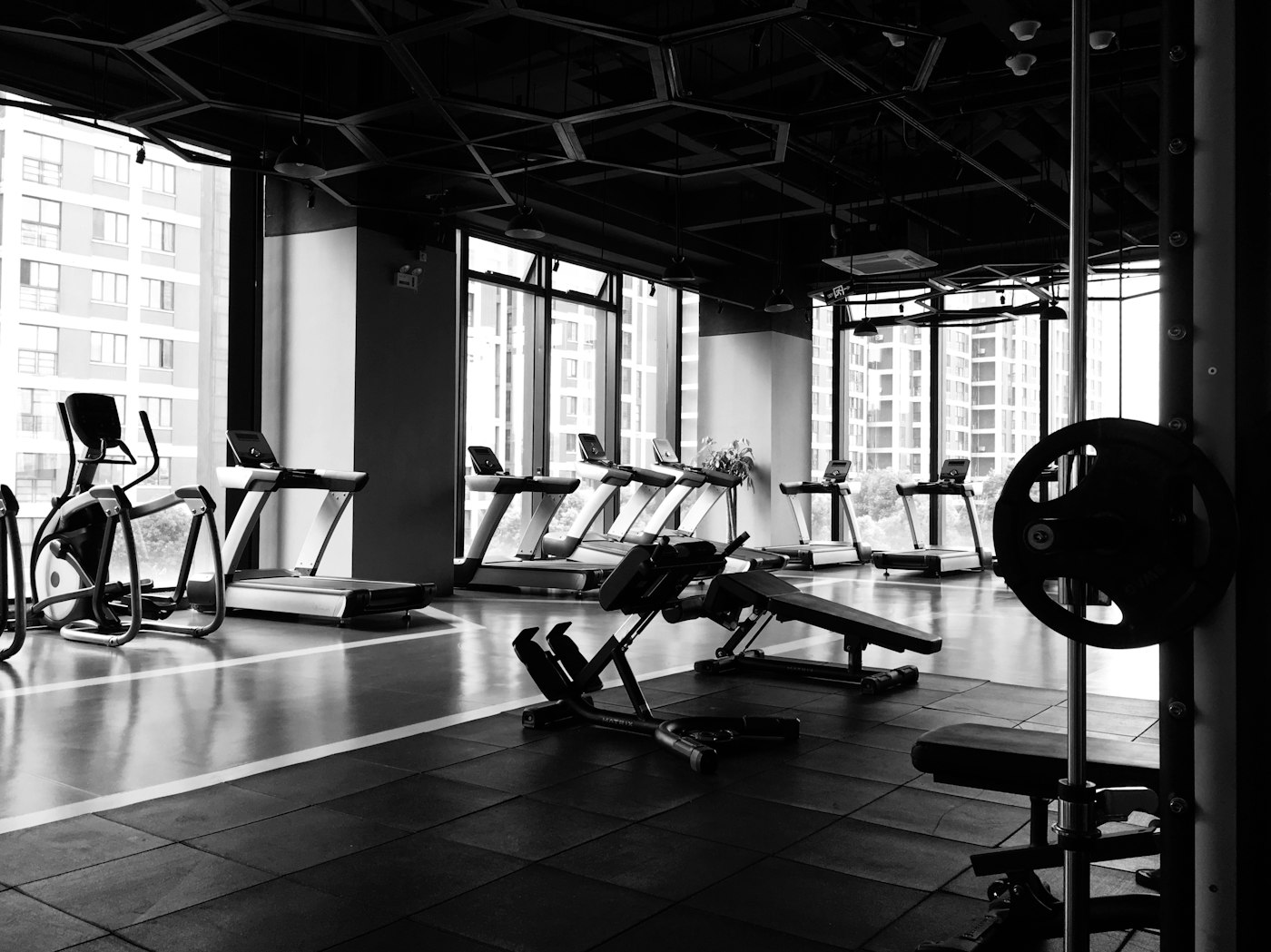 Powerhouse and Phoenix Gym