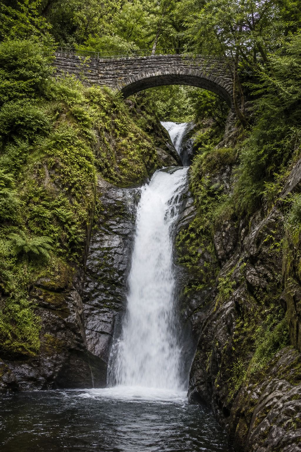 Aira Force