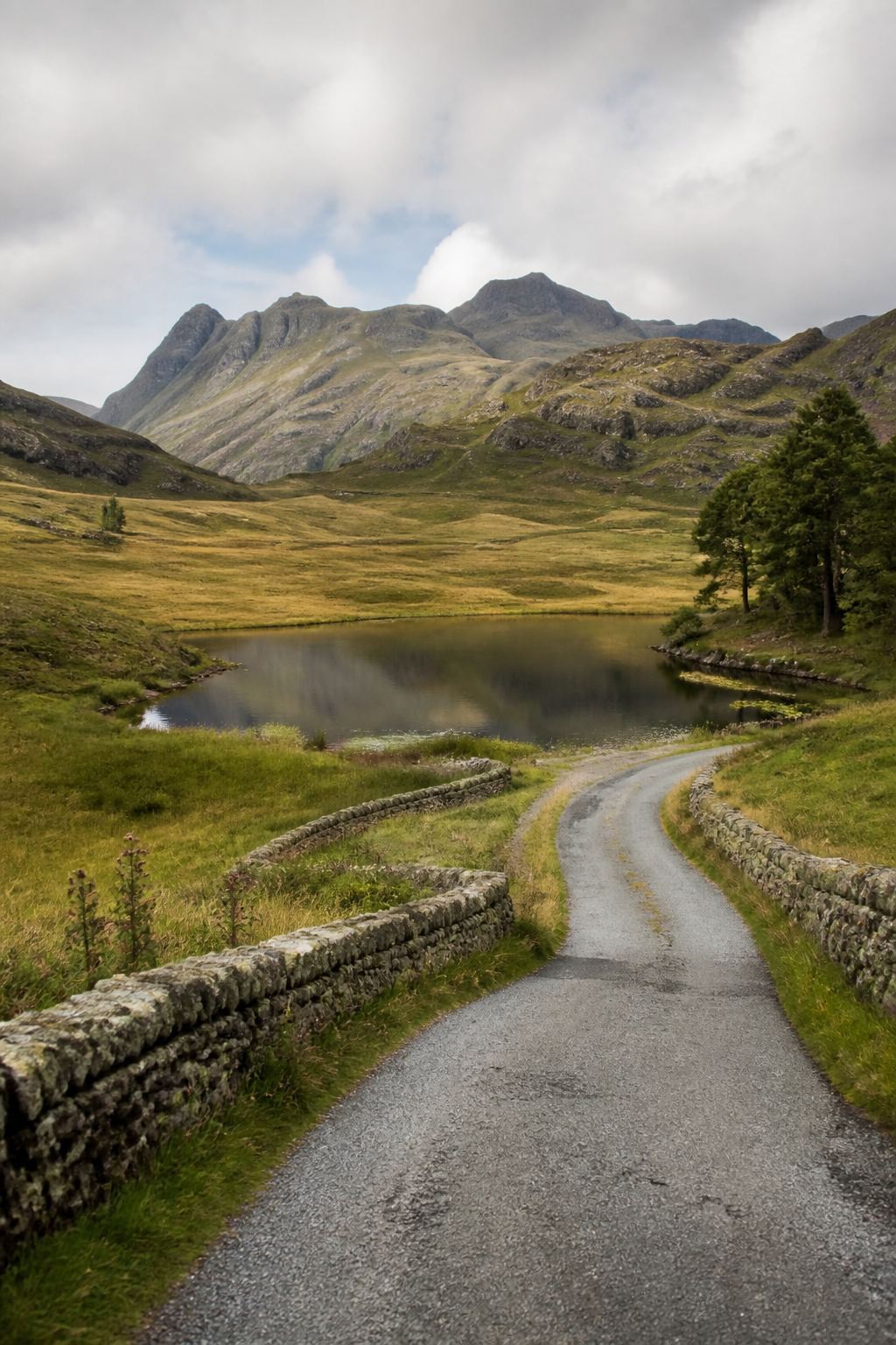 Blea Tarn (Chapel Stile)